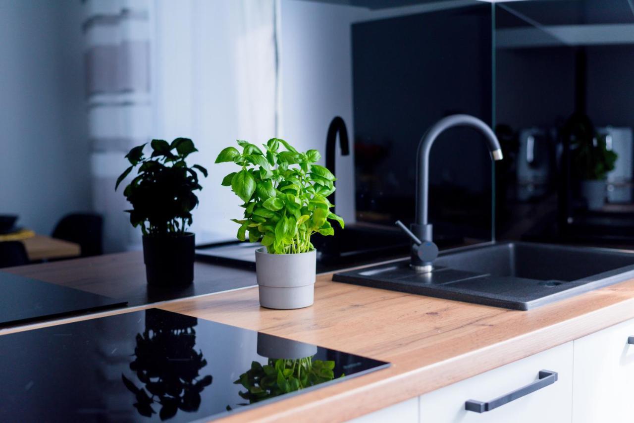 Apartamenty U Maciusia Duszniki Zdrój Buitenkant foto